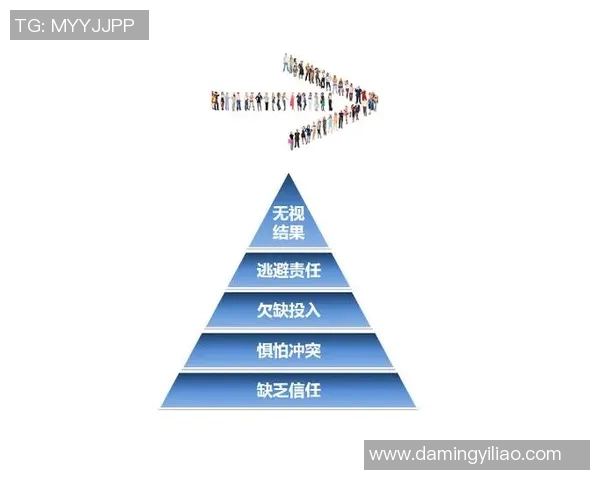 深圳篮球队进攻体系解析：战术创新与团队协作的完美结合